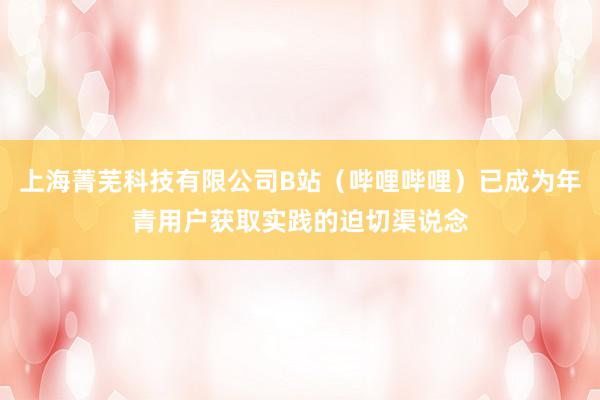 上海菁芜科技有限公司B站(哔哩哔哩)已成为年青用户获取实践的迫切渠说念