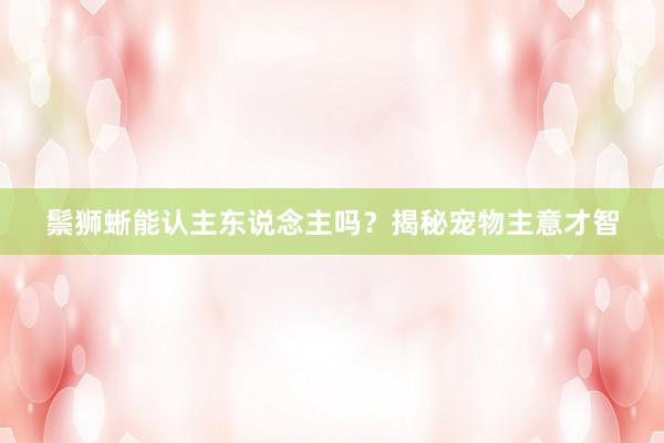 鬃狮蜥能认主东说念主吗？揭秘宠物主意才智